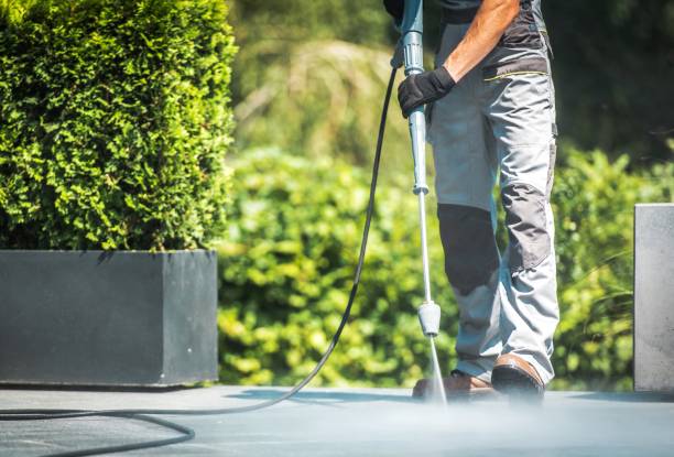 Best Building Exterior Washing  in Painesville, OH